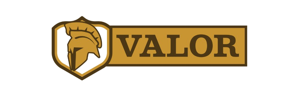 The Valor Protectorate